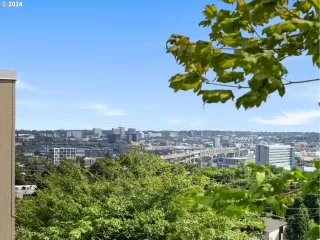 Photo #2: 24255620 Listing