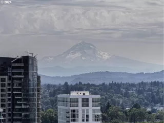 Photo #4: 24255620 Listing