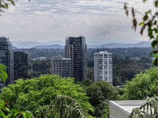 Photo #6: 24255620 Listing