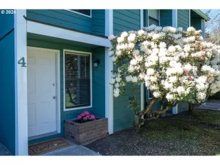 Photo #1: 24309848 Listing 