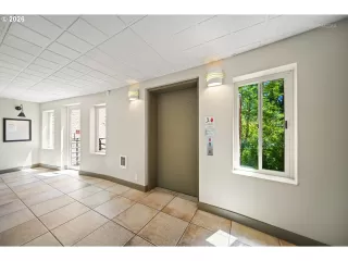 Photo #4: 243389687 Listing