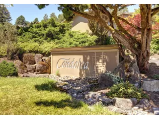 Photo #2: 24352032 Listing 