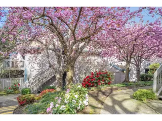 Photo #3: 24385079 Listing 