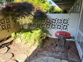 Photo #1: 24391166 Listing