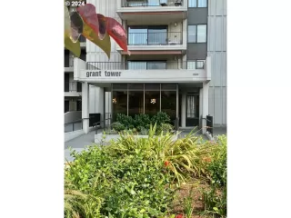 Photo #2: 24405182 Listing