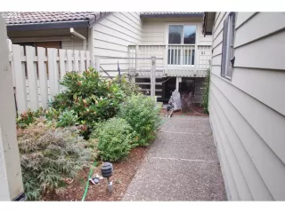 Photo #2: 24447073 Listing 