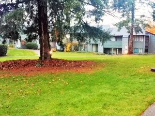 Photo #1: 24450694 Listing 