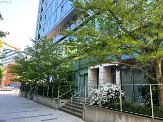 Photo #4: 24454747 Listing 