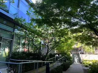 Photo #5: 24454747 Listing 