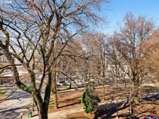 Photo #4: 24472670 Listing 