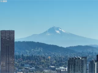 Photo #5: 24481605 Listing