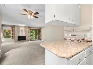 Photo #4: 244950750 Listing 