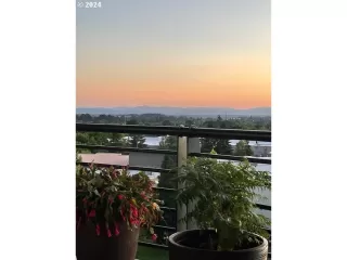 Photo #2: 24497827 Listing