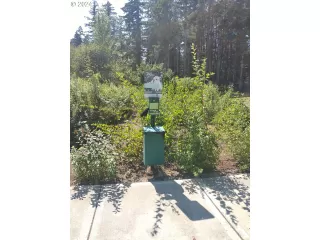 Photo #5: 24514643 Listing