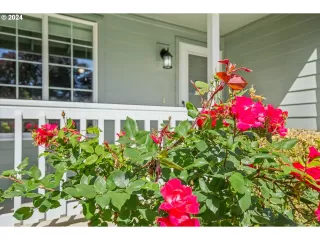 Photo #6: 24549797 Listing 