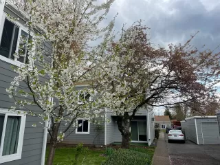 More Details about MLS # 24582149 : 2700 SE 138TH AVE #4