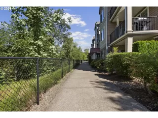 Photo #5: 24588420 Listing