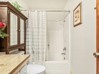 Photo #3: 246523127 Listing