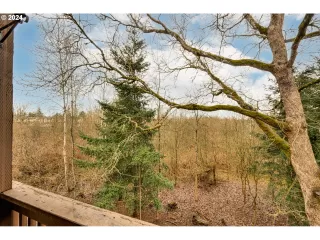 Photo #5: 24675288 Listing 