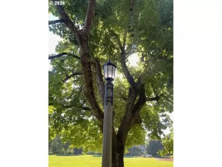 Photo #3: 24675510 Listing