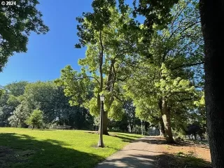 Photo #5: 24675510 Listing