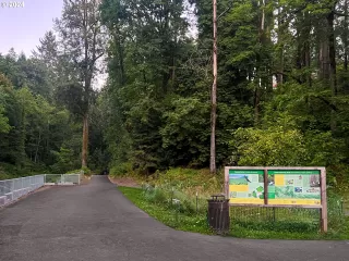 Photo #3: 24692237 Listing