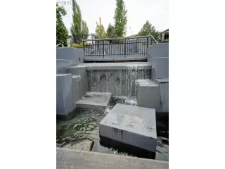 Photo #5: 24698486 Listing 