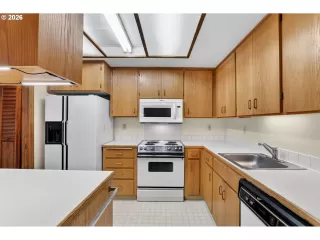 Photo #5: 248197862 Listing 