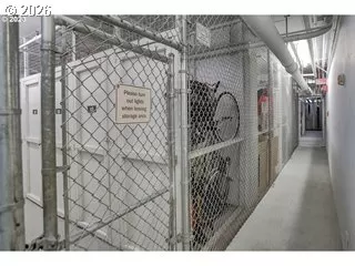 Photo #1: 251007748 Listing 