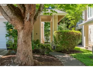 Photo #2: 251717644 Listing