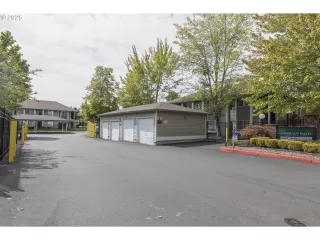 Photo #1: 252159793 Listing 