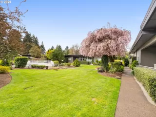 Photo #1: 253665374 Listing