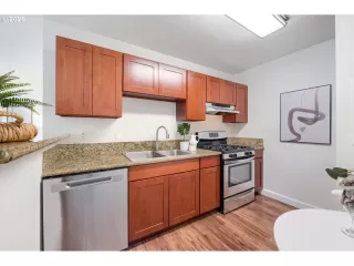 Photo #4: 255505203 Listing 