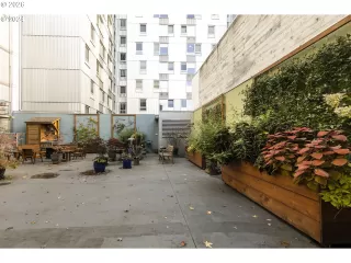 Photo #5: 256506956 Listing 