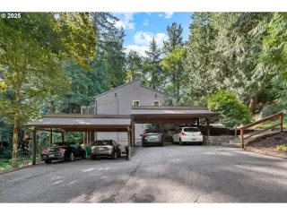 Photo #3: 256600807 Listing 