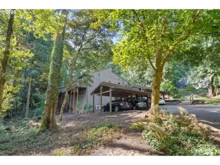 Photo #4: 256600807 Listing 