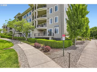 Photo #3: 263342423 Listing