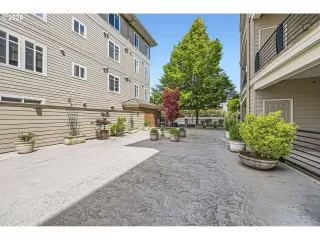 Photo #4: 263342423 Listing