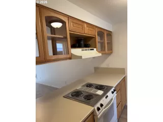 Photo #2: 265305228 Listing