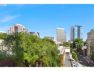 Photo #3: 265527172 Listing 