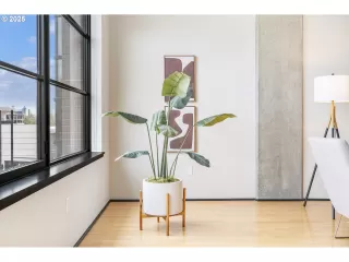 Photo #3: 273439684 Listing