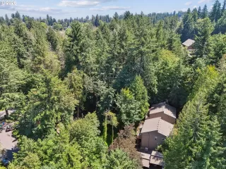 Photo #1: 278351106 Listing 