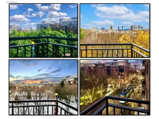 Photo #2: 281690594 Listing