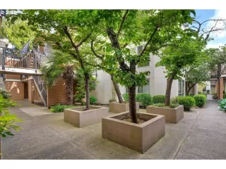 Photo #1: 285971983 Listing