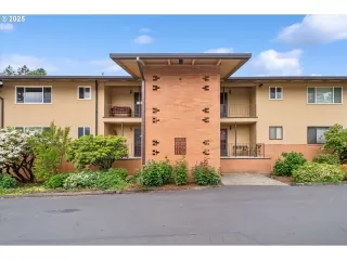 Photo #1: 293645824 Listing 