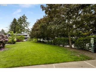 Primary Photo for MLS#: 295993815