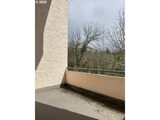 Photo #1: 296156181 Listing 