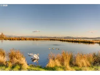 Photo #3: 296212685 Listing 