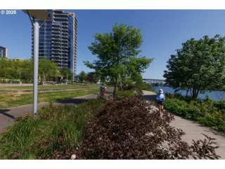 Photo #1: 300753568 Listing 