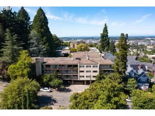 Primary Photo for MLS#: 302849942